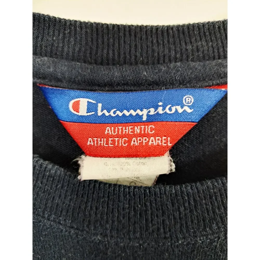 Champion T-shirt Men's Blue Large Gray Stripe Classic Crewneck - Picture 5 of 5
